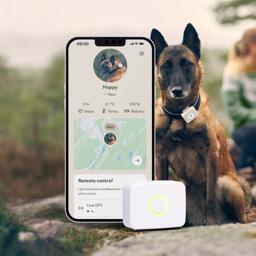 Lildog GPS för hunden med Activity Tracker Vit